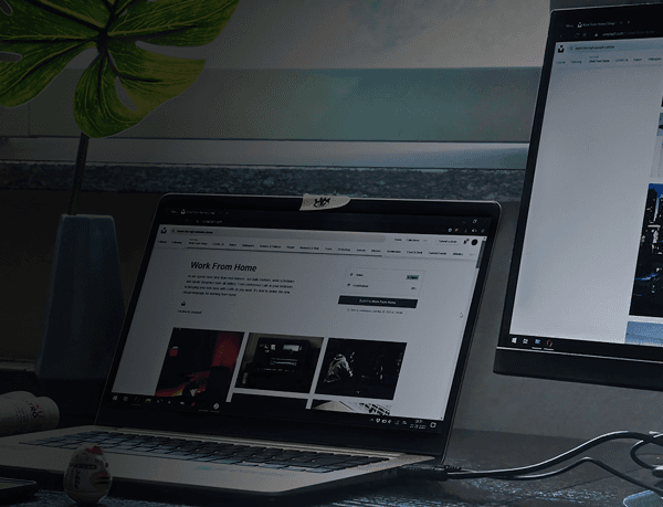 Web Hosting